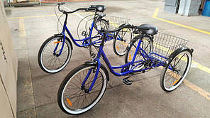 Дорослий триколісний вантажний велосипед Aist Cargo 1.0 (Мінок, ригінал) 2021 велорикша