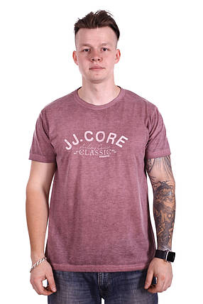 Футболка StrongMan JJ.Core f2118/4 Бордова M, фото 1