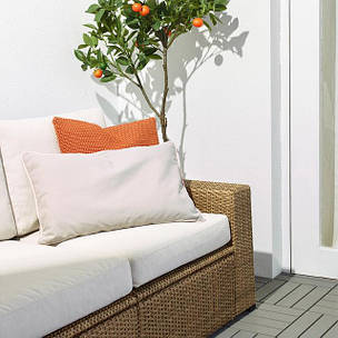 Аксесуари для саду