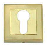 Накладка під циліндр USK Z-60 Золото, фото 2