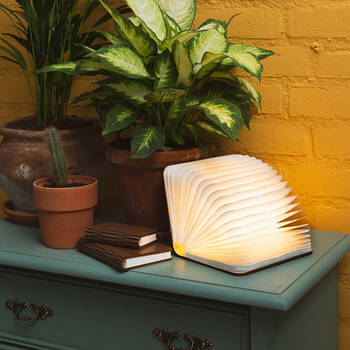 Світильники та нічники