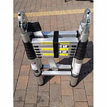 Сходи драбина телескопічна 620 cm З СУМКОЮ, фото 5