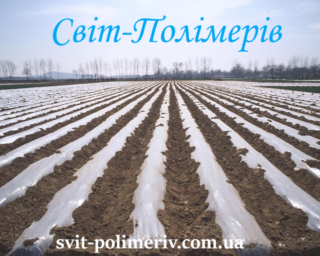 Плівка для мульчування СВІТЛА стабілізована на 18 міс. 800х50