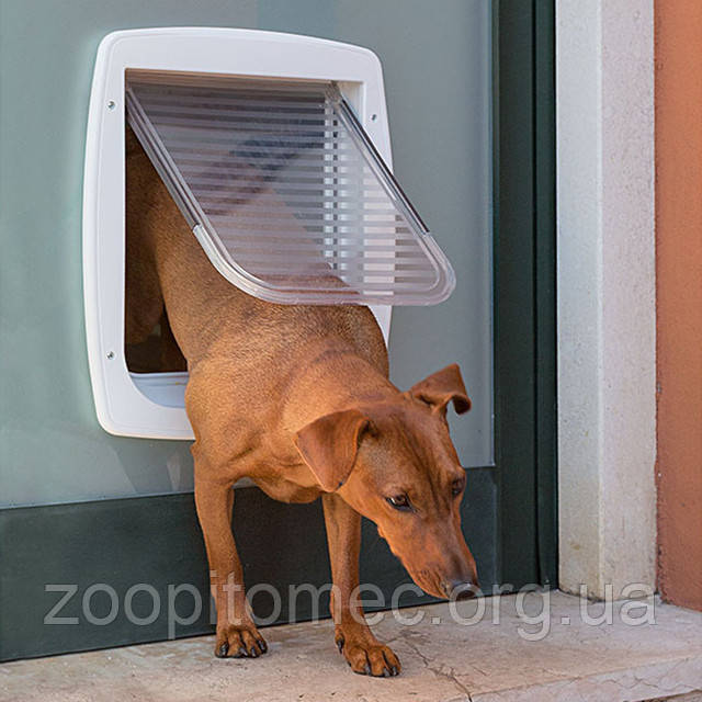 ДВЕРІ ДВЕРЦЯТА ПРОХОДИ ДЛЯ СОБАК І КІШОК. 