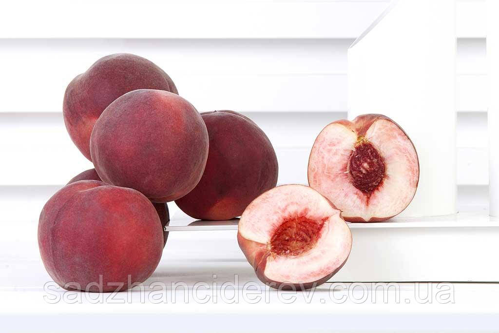 Саджанці персика Фіделія (Fidelia, Фиделия), фото 1