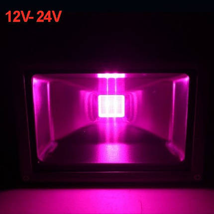 Светодиодный фито прожектор 30W 12-24VDC IP65 (full spectrum led) Код.59572, фото 2