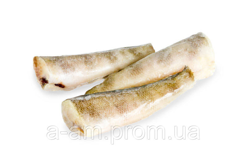 Нототия свіжа