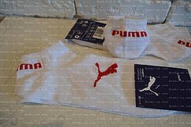 Шкарпетки чоловічі.Короткі,р.36-41. 41-45