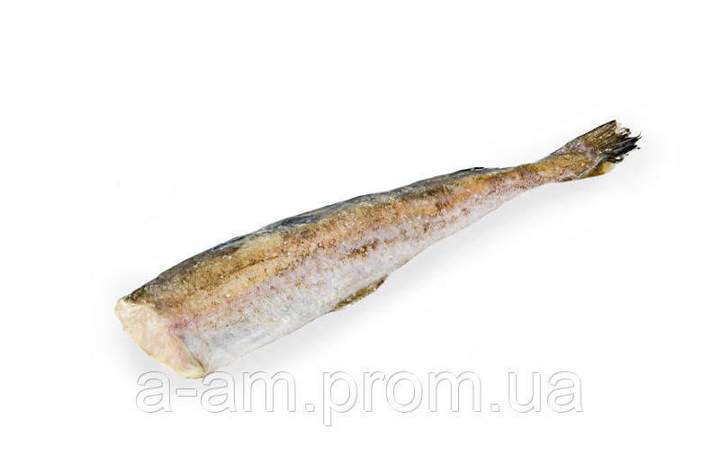 Минтай морозивний