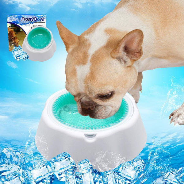 Frosty bowl 2025