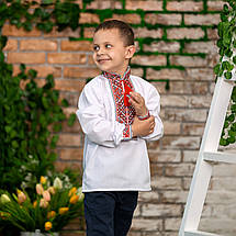 Вишиванка для хлопчика з червоним орнаментом, фото 3