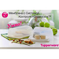 Розумна сирниця мала Tupperware (20,5х20,5х9,5 см). Сир не пліснявіє, не сохне, не вбирає запахи!