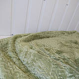Покривало — плед із мікрофібри ( фліс)
Розмір 2.00 на 2.30
Колір зелень, фото 3
