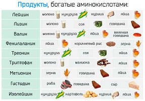 Амінокислоти