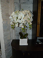 Орхидея белая исскуственная,в квадратном керам.горшке
