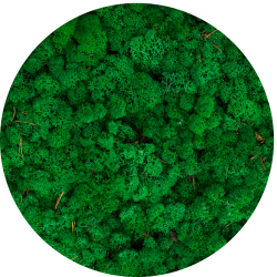 Мох стабілізований 78 grass green. УПАКОВКА 0.1 кг - фото 3 - id-p706178256