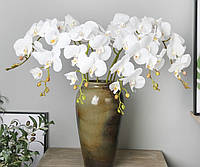 Орхидея Белая, Латексная (108см)