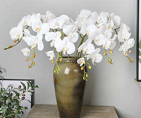 Орхідея Біла, латексна (108 см)
