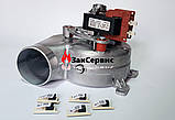 Вентилятор на газовий котел ARISTON Microgenus PLUS 24-28 FF 65100691, фото 2