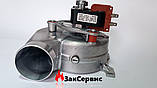 Вентилятор на газовий котел ARISTON Microgenus PLUS 24-28 FF 65100691, фото 6