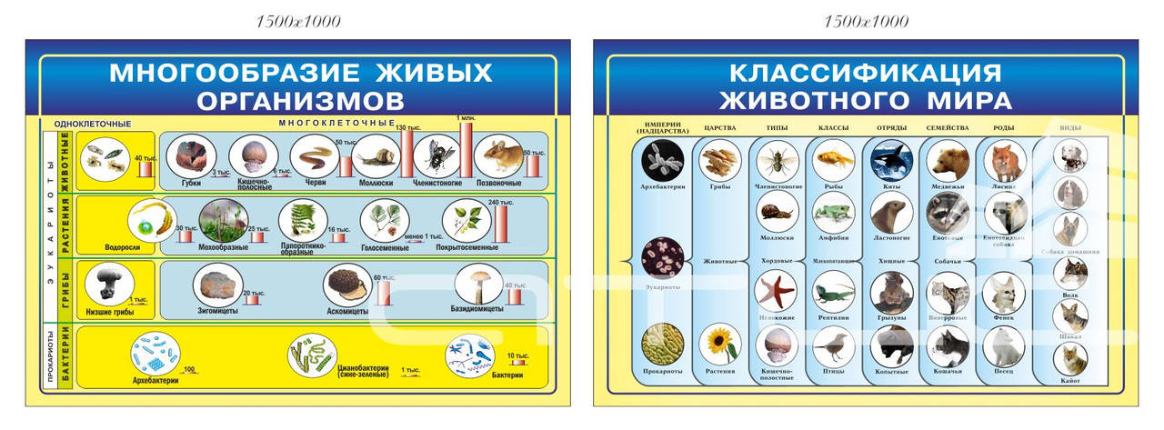 Комплект стендів з біології