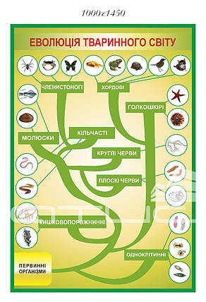 Стенд з біології ЕВОЛЮЦЬ ТБАРИННОГО СВІТУ, фото 2