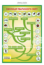 Стенд з біології ЕВОЛЮЦЬ ТБАРИННОГО СВІТУ