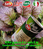 Мікрогрин, гірчиця салатна червона RED Mustard / КРАСНИЙ МУСДАРД Sais (Італія), банку 500 грамів., фото 3
