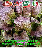 Мікрогрин, гірчиця салатна червона RED Mustard / КРАСНИЙ МУСДАРД Sais (Італія), банку 500 грамів., фото 4
