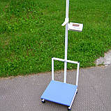 Ваги медичні зі зростоміром Axis BDU300-Medical, фото 2