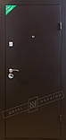 Двері "Салют", модель "Кліо", метал/МДФ, фото 2