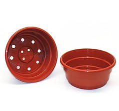 Квіткові горщики для хризантем 3.5 л (23х11 см) для хризантем Donkwiat