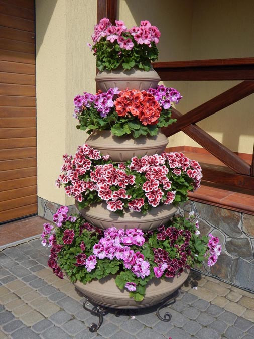 Піраміда чотирирівнева GrunWelt 750, фото 1