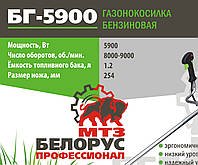 Бензокоса Assistan БГ-5900