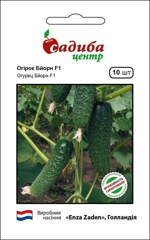 

Семена Огурец самоопыляющийся Бйорн F1, 10 семян Enza Zaden Cадыба Центр