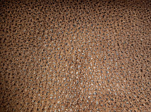 Мустанг Kashtan