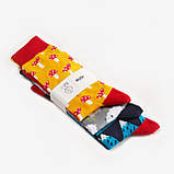 Шкарпетки Dodo Socks набір Yukon 39-41, 3 шт, фото 3