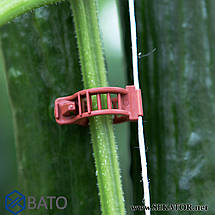 Кліпси для овочів Bato / Бато (Нідерланди), 23мм, фото 3