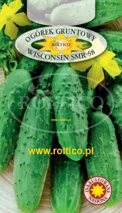 Насіння огірка Wisconsin SMR 58 (Вісконсін) 5г ТМ ROLTICO