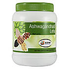 Ашвагандха Лехам (Ashwagandha Leha, SDM), 500 грамів — сила та витривалість організму, стрес, виснаження, фото 5