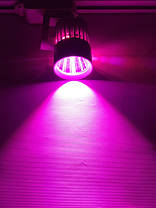 Світильник для рослин трековий SL-4003F 30W 12-24V DC (full spectrum led) білий Код.59583, фото 3