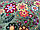 Дитячий ковролін Квіти 40, фото 7