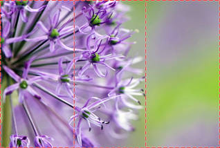 Фотошпалери текстуровані, вінілові Квіти, 250х380 см, fo01inV_fl102690, фото 3