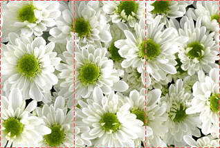 Фотошпалери текстуровані, вінілові Квіти, 250х380 см, fo01inV_fl102357, фото 3