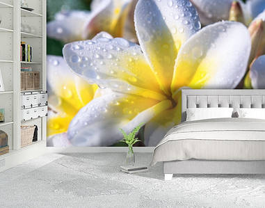 Фотошпалери текстуровані, вінілові Квіти, 250х380 см, fo01inV_fl13627