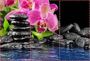 Фотошпалери текстуровані, вінілові Квіти, 250х380 см, fo01inV_fl11724, фото 2
