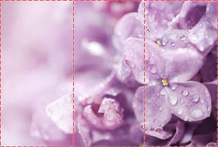 Фотошпалери текстуровані, вінілові Квіти, 250х380 см, fo01inV_fl102802, фото 3