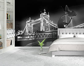 Фотошпалери текстуровані, вінілові Мости, 250х380 см, fo01inV_br00138, фото 4