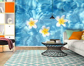 Фотообои текстурированные, виниловые Цветы, 250х380 см, fo01inV_fl12957, фото 6