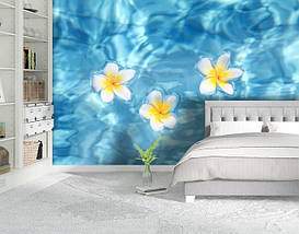 Фотообои текстурированные, виниловые Цветы, 250х380 см, fo01inV_fl12957, фото 5